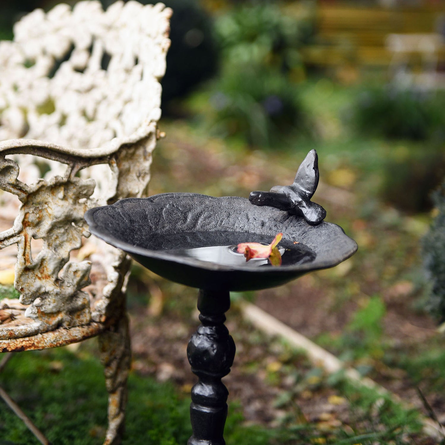 Bebederos y Comederos