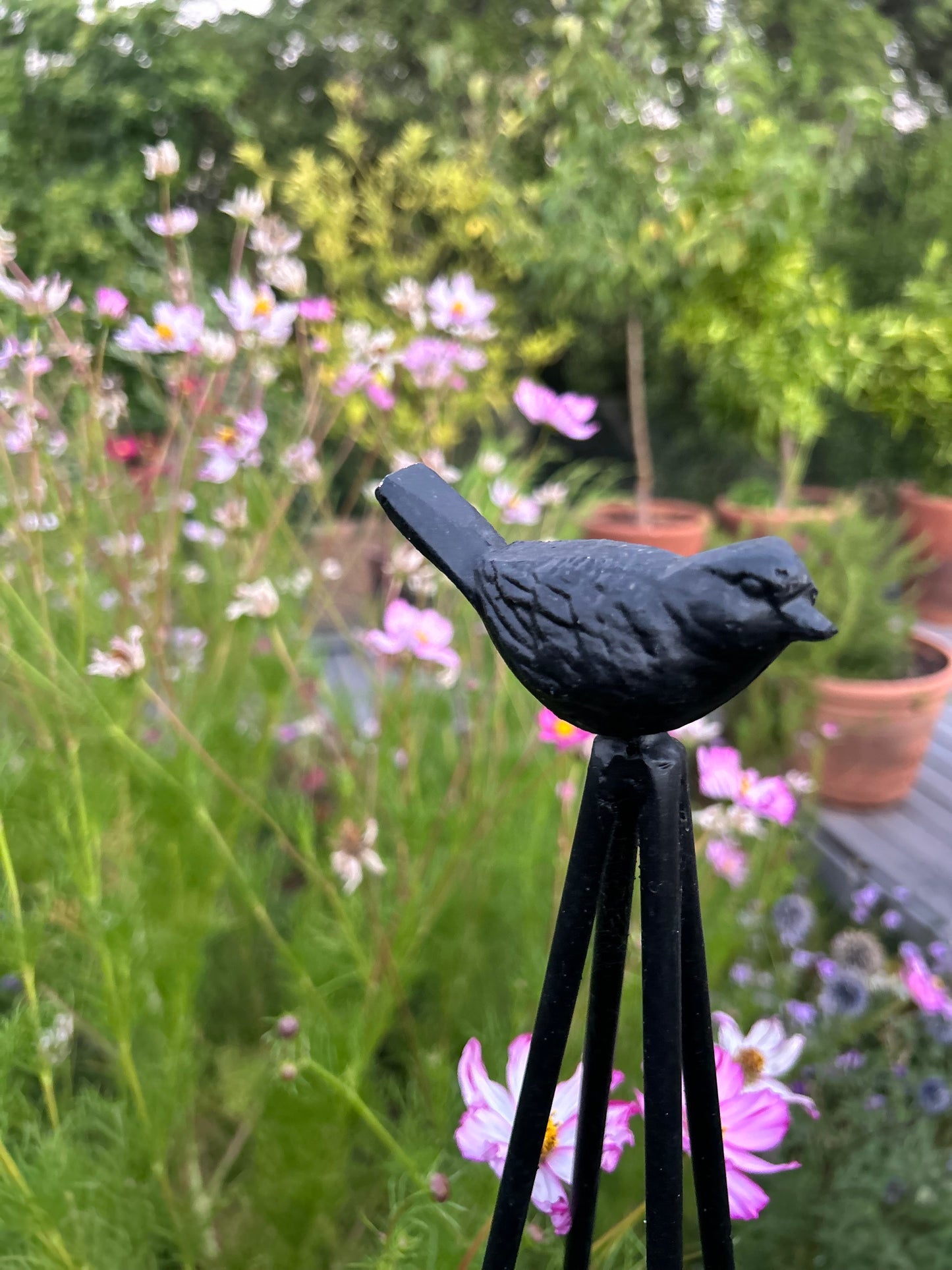 Tutor Piramidal Alto