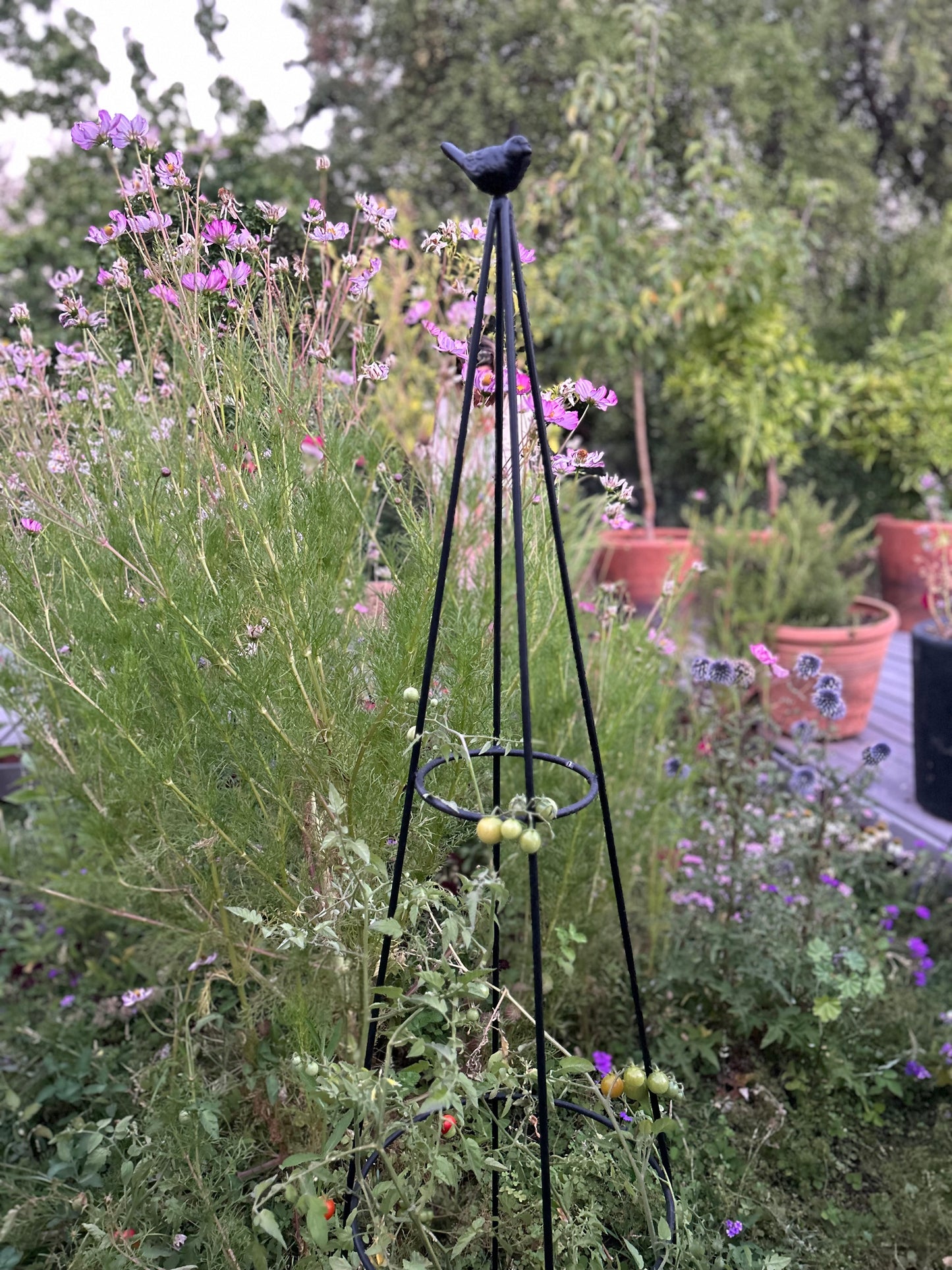 Tutor Piramidal Alto