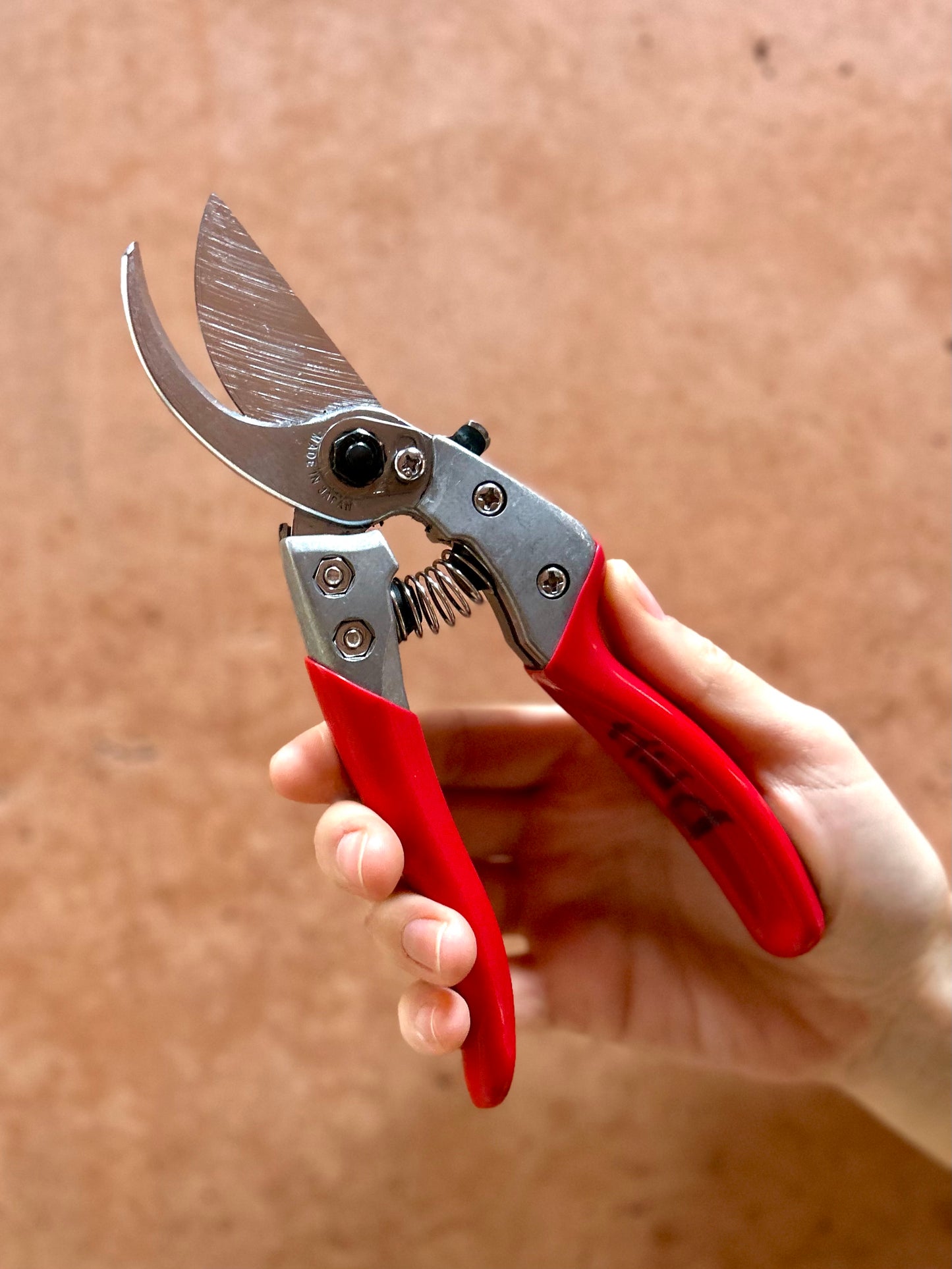 Tijera profesional poda