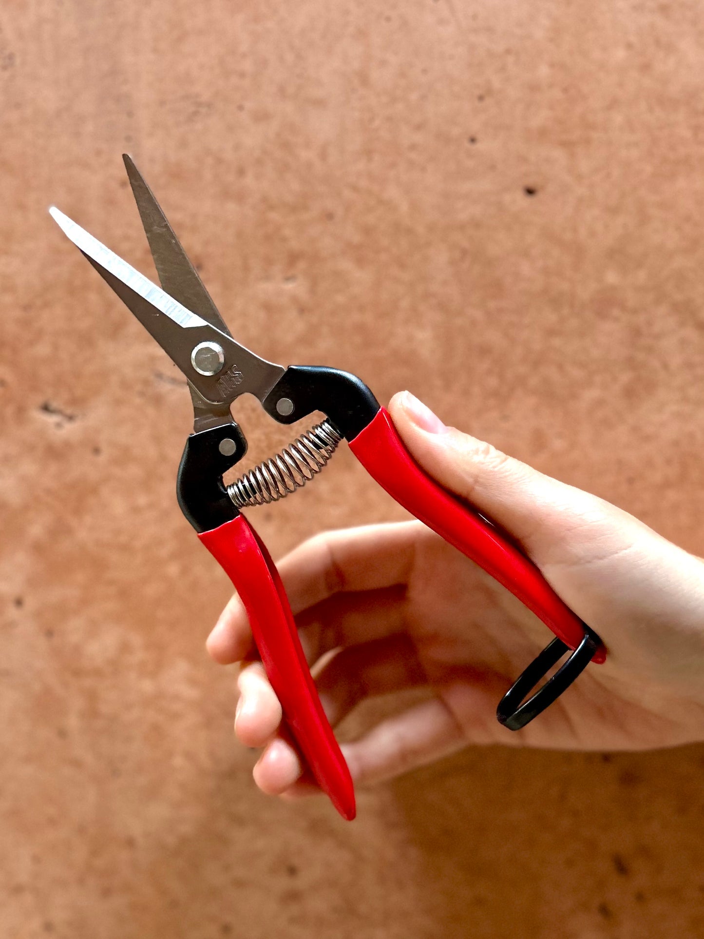 Tijera para raleo y poda flores