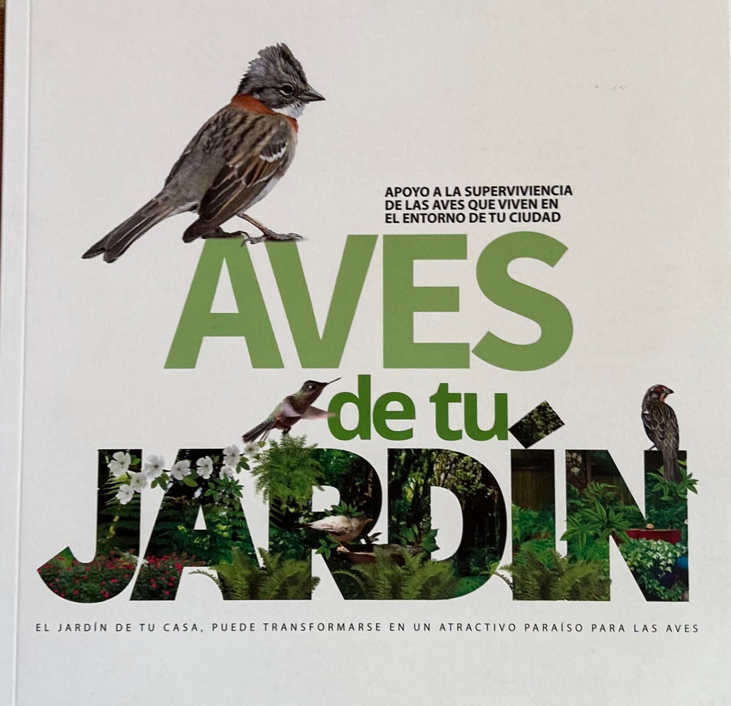 Aves de tu Jardín