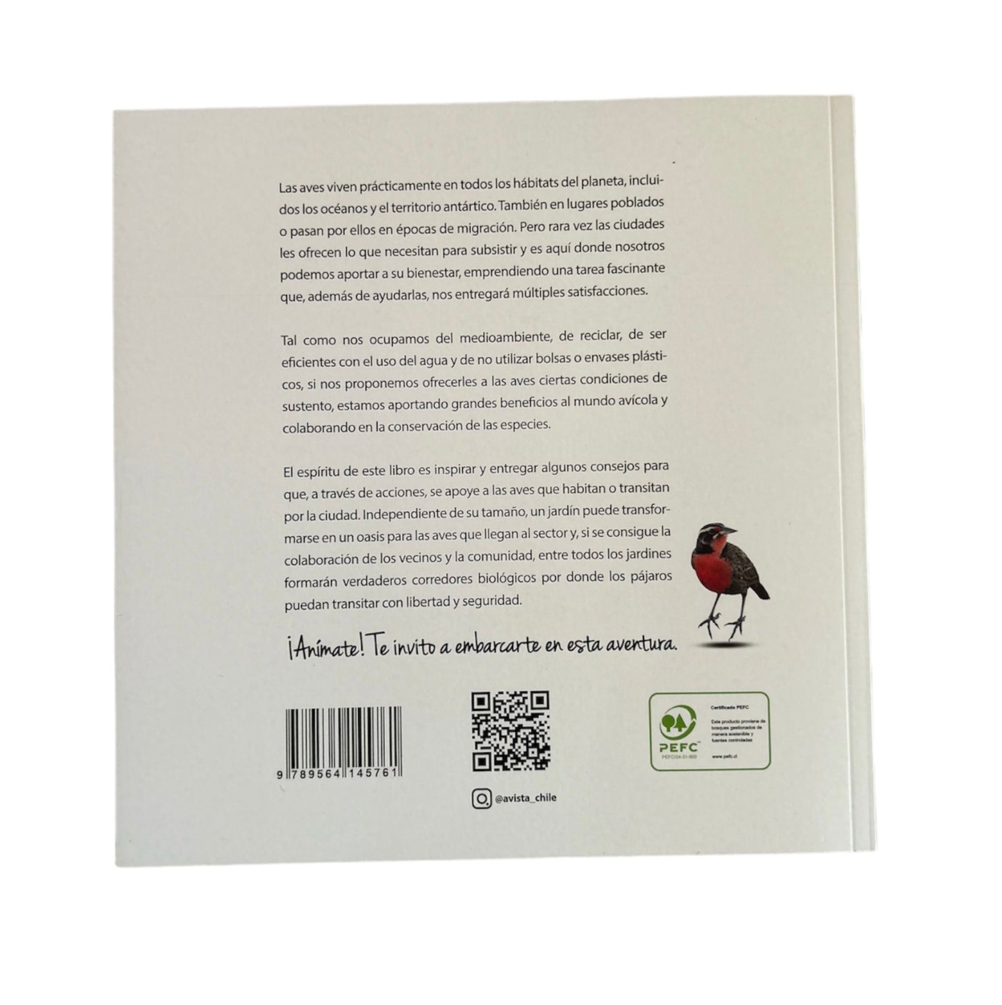 Aves de tu Jardín