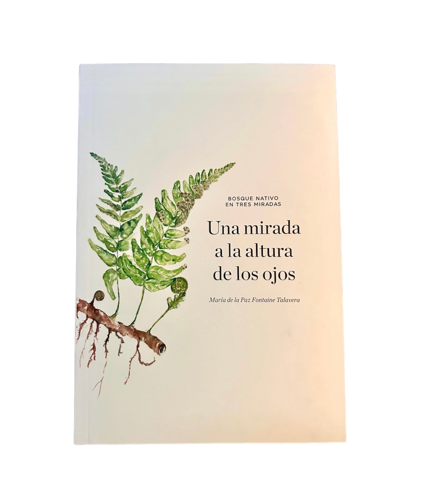 Bosque nativo en tres miradas