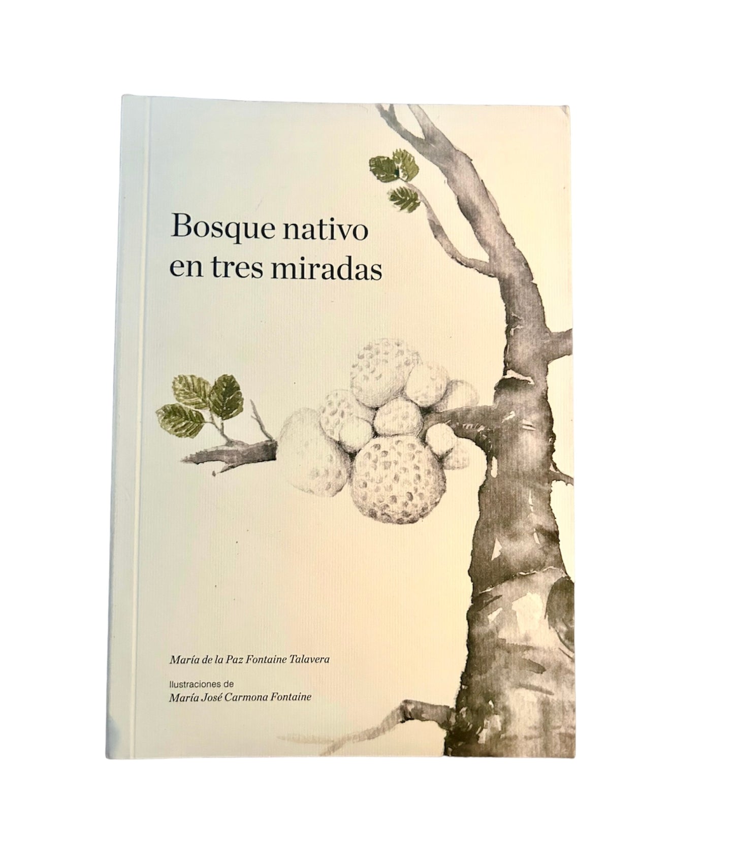 Bosque nativo en tres miradas