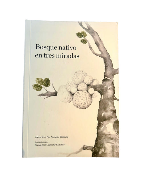 Bosque nativo en tres miradas