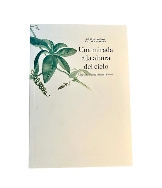 Bosque nativo en tres miradas