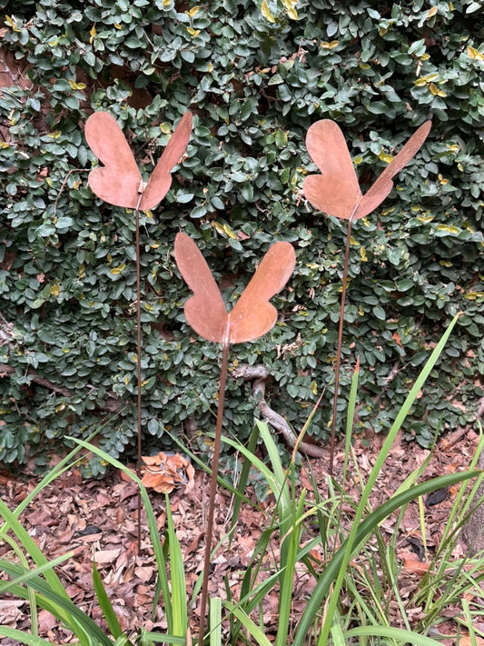 Mariposa