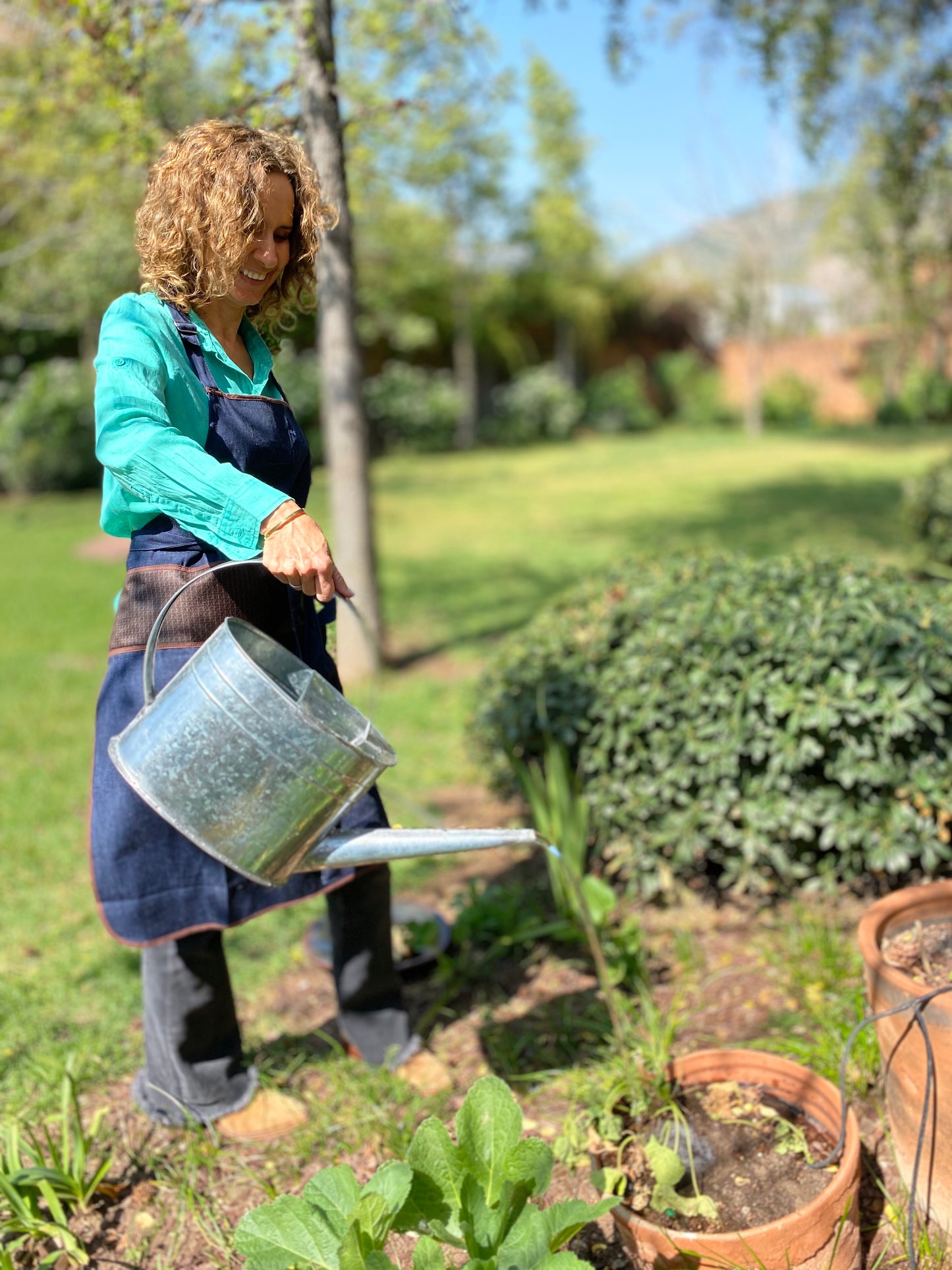 Regadera Vintage sin mango