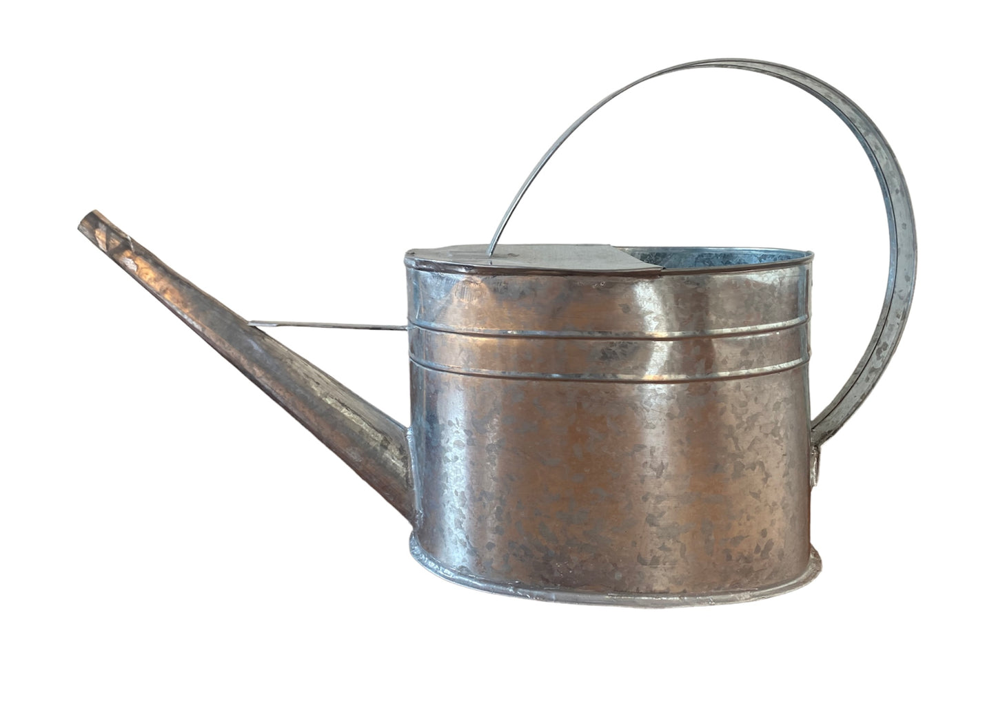 Regadera Vintage sin mango