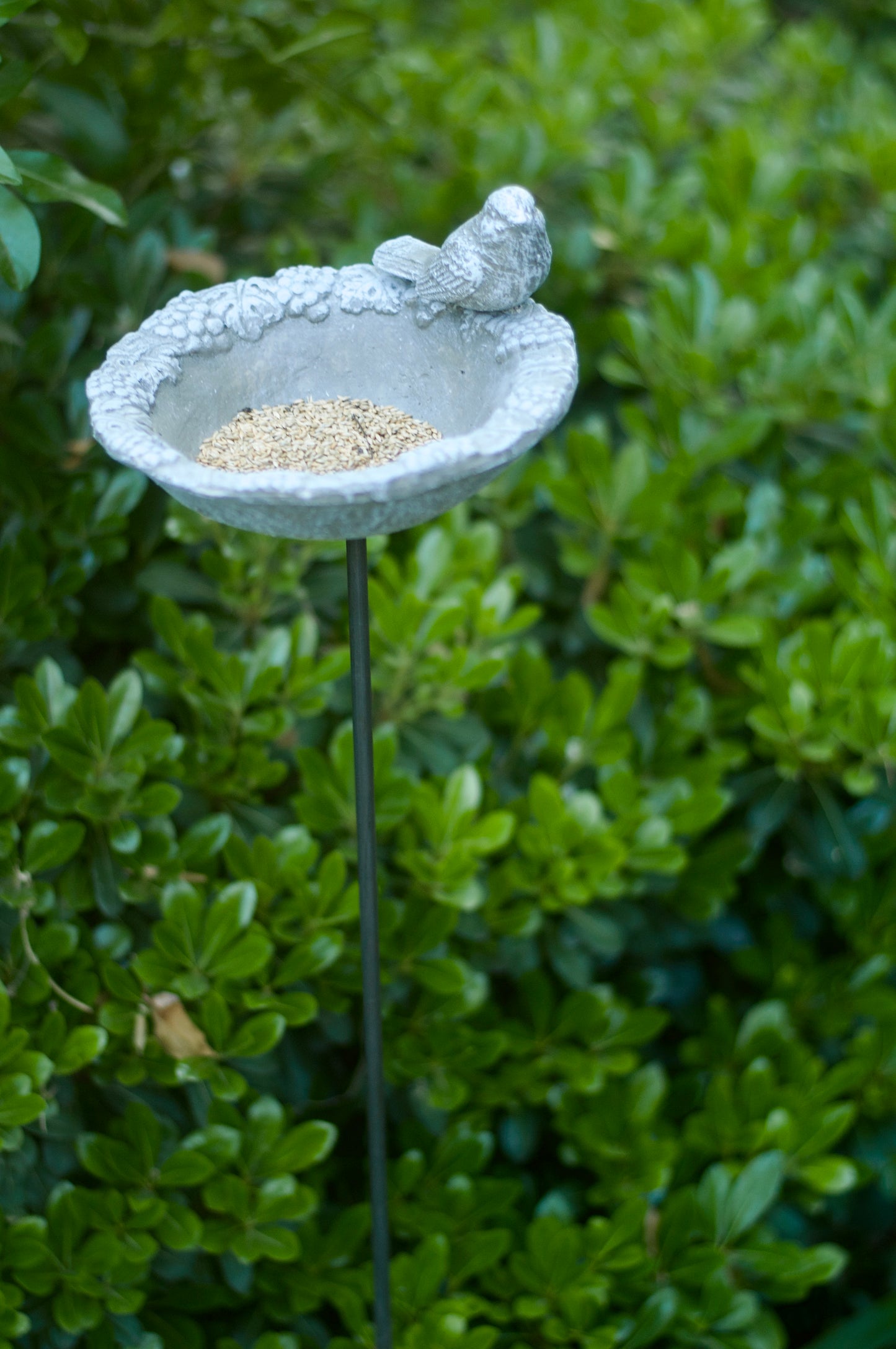 Bebedero Cemento Floreado