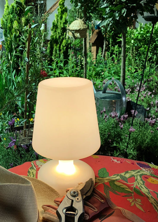 Mushroomlamp Led
