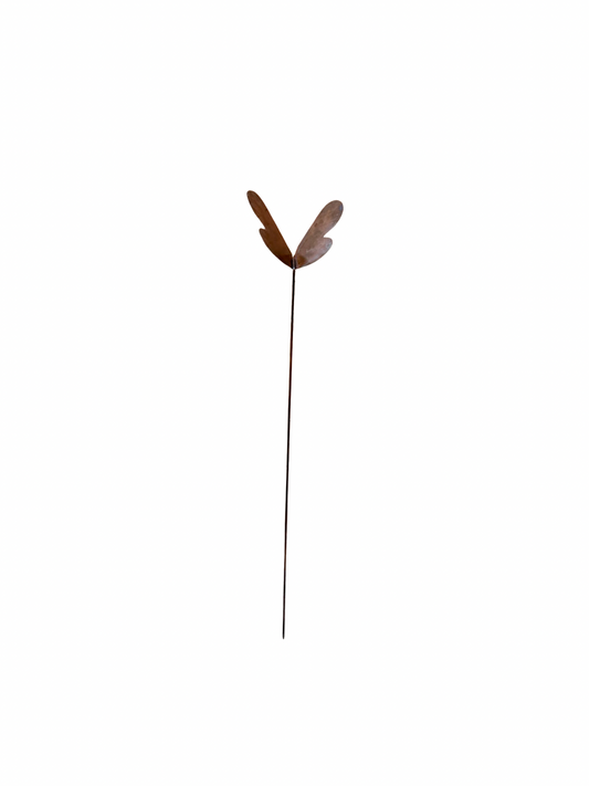 Mariposa