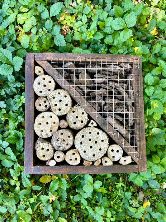 Hotel de insectos